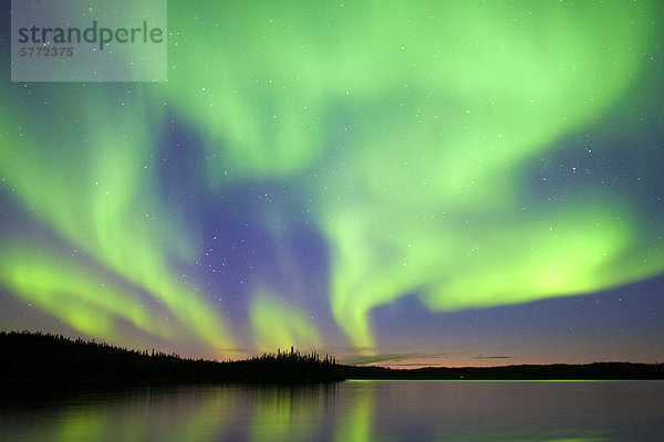 Aurora Borealis (Polarlichter)  borealen Wald  Umgebung von Yellowknife  Northwest Territories  Kanada