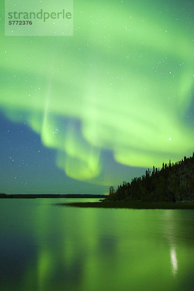 Aurora Borealis (Polarlichter)  borealen Wald  Umgebung von Yellowknife  Northwest Territories  Kanada