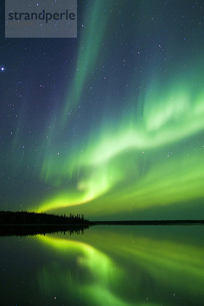 Aurora Borealis (Polarlichter)  borealen Wald  Umgebung von Yellowknife  Northwest Territories  Kanada