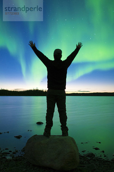 Aurora Borealis (Polarlichter)  borealen Wald  Umgebung von Yellowknife  Northwest Territories  Kanada