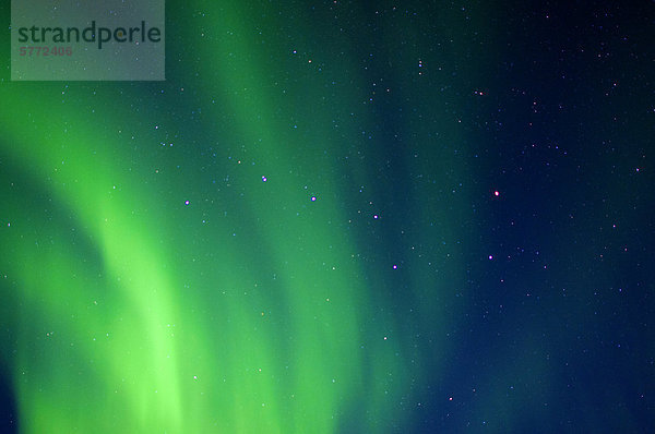 Big Dipper und Aurora Borealis (Polarlichter)  Barrenlands  zentrale Nordwest-Territorien  arktischen Kanada