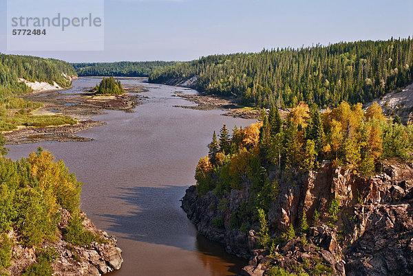 Frühherbst Farbe entlang des Abitibi in Otter Rapids in Ontarios entfernten borealen Wald nördlich von Fraserdale  Ontario  Kanada