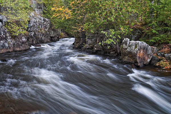 Der Fluss Crowe als es fließt durch den Darm im Landschaftsschutzgebiet Gut in Ontario Peterborough  Kanada