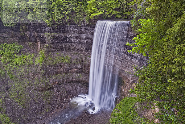 TEWS fällt auf Logies Creek das Spencer Gorge Wilderness Area entlang der Niagara-Schichtstufe in der Nähe von Hamilton  Ontario  Kanada