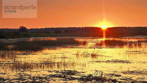 Sonnenaufgang am winzigen Marsh bei Tiny Marsh Provincial Wildlife Area in der Nähe von Elmvale Ontario  Kanada