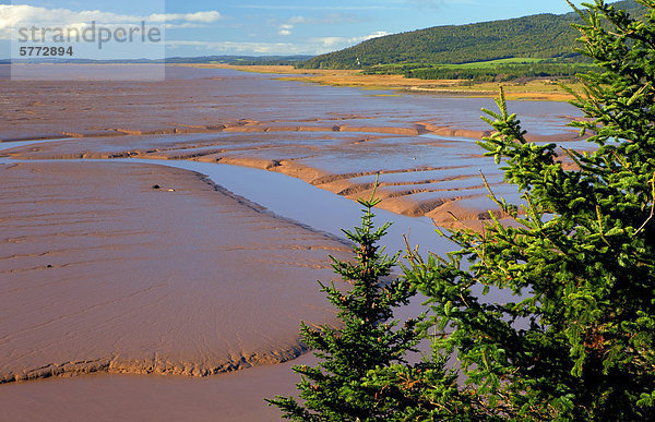 Daniels Flats  Ebbe  Bucht von Fundy  Atlantik  Hopewell  New Brunswick  Kanada