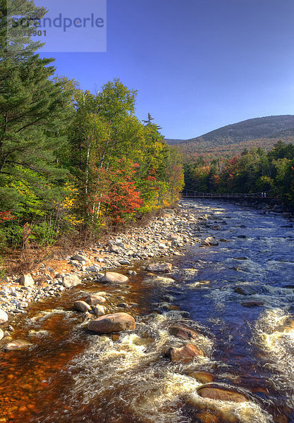 Swift River  White Mountains  der entlang Kamcamagus Highway  New Hampshire  Vereinigte Staaten
