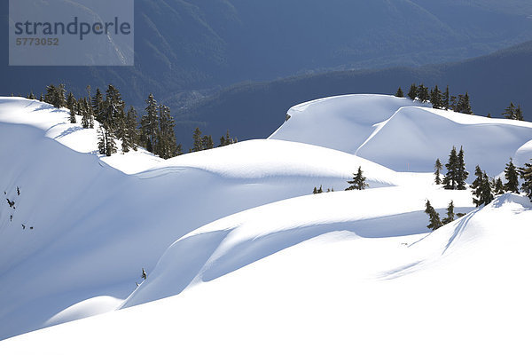 Schnee-Banken am Mount Seymour in North Vancouver  British Columbia  Kanada.