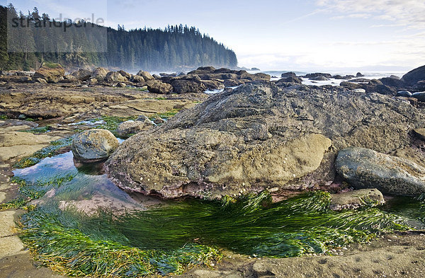 Strand folgen Ozean Gezeiten Insel Pazifischer Ozean Pazifik Stiller Ozean Großer Ozean vorwärts Süden British Columbia Kanada Vancouver
