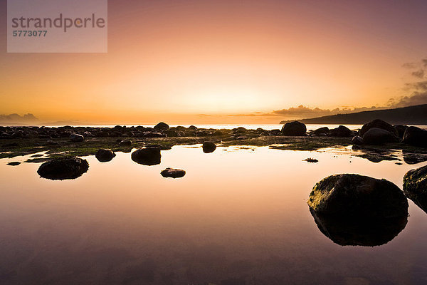 Sombrio Beach kammille bei Sonnenuntergang. Pazifik  Vancouver Island  British Columbia  Kanada.