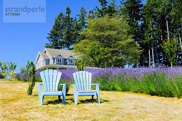 Kopfsteinpflaster Stuhl Wohnhaus Hügel Bauernhof Hof Höfe Bett frontal Feld blau 2 Frühstück British Columbia Kanada Lavendel