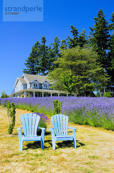 Kopfsteinpflaster Stuhl Wohnhaus Hügel Bauernhof Hof Höfe Bett frontal Feld blau 2 Frühstück British Columbia Kanada Lavendel