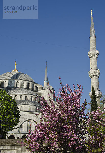 Sultan-Ahmed-Moschee (Blaue Moschee)  Istanbul  Türkei