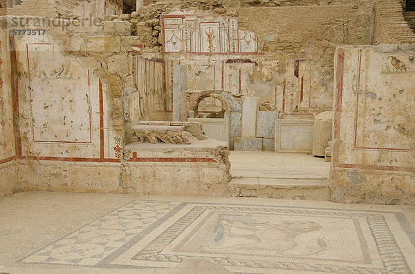 Die römischen Apartments in Ephesus  eine antike Stadt  ausgegraben und später eine römische Stadt  an der West Küste Kleinasiens  in der Nähe von heutigen Selçuk  Izmir  Türkei