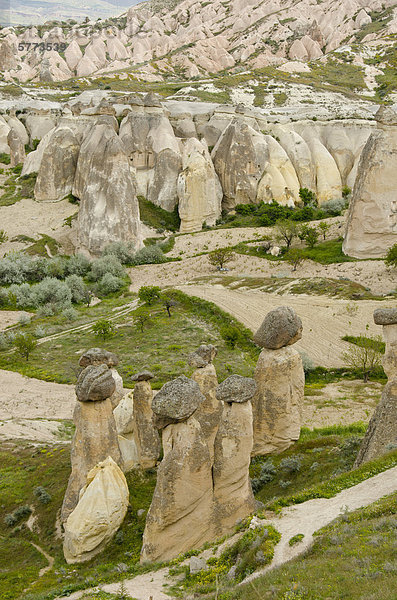 Hoodoos in der einzigartigen Landschaft in der Nähe von Göreme  Kappadokien  auch Capadocia  Zentralanatolien  weitgehend in der Nev_ehir Provinz  Türkei