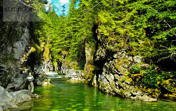 Herber River  Vancouver Island  British Columbia  Kanada