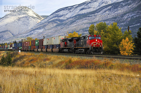 Canadian National Güterzug eine Zugbelastung Container Fracht wie es reist durch die Rocky Mountains in Jasper Nationalpark  Alberta Kanada ein Overcats Tag im Herbst.