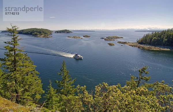 Bootsfahrer genießt eine Kreuzfahrt in Desolation Sound Marine Park übergeben die Copeland-Inseln  in der Nähe von Lund (British Columbia) an der Sunshine Coast in der Region Vancouver Coast & Mountains  Kanada
