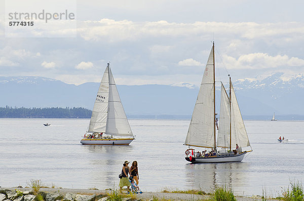 Wassersportler und Wanderer genießen Sie den Sommer auf der geraden Malaspina Willingdon Strand in Powell River  British Columbias Sunshine Coast  in der Region Vancouver Coast & Mountains  Kanada