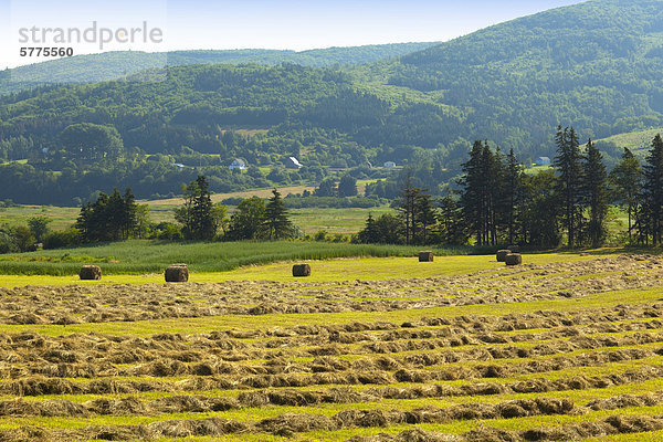 Margaree Gabeln  Cape Breton  Nova Scotia  Kanada