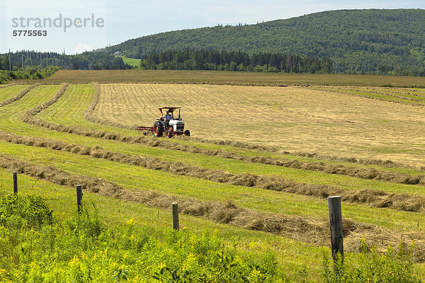 Farmer Schneiden von Heu  Mabou  Cape Breton  Nova Scotia  Kanada