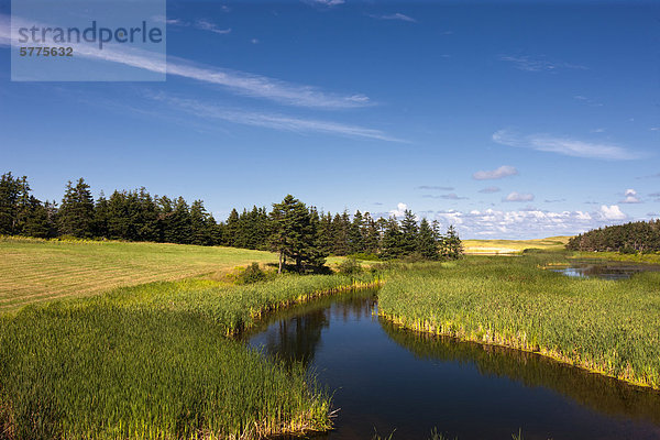 Priester Teich  Prince Edward Island  Kanada