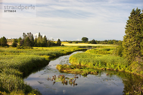 Brook  Pownal Bay  Prince Edward Island  Kanada