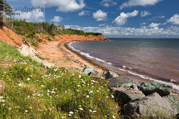 Sandsteinfelsen  Cape Bear  Prince Edward Island  Kanada