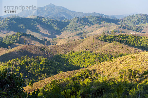 Landschaft  abgeerntete Maisfelder  Bambuswald  Nordthailand  Thailand  Asien