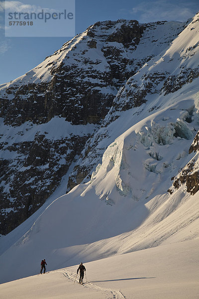 Zwei männliche Hinterland Skifahrer Kopf über einen Gletscher Skifahren North Face von Mt. Stanley  Kootenay Nationalpark  British Columbia  Kanada