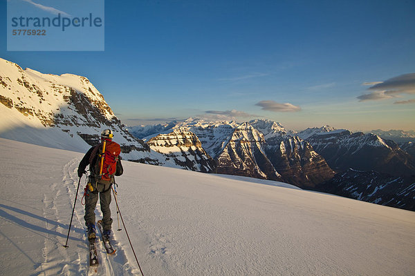 Ein männlicher Hinterland Skifahrer Heads über einen Gletscher Skifahren North Face von Mt. Stanley  Kootenay Nationalpark  British Columbia  Kanada