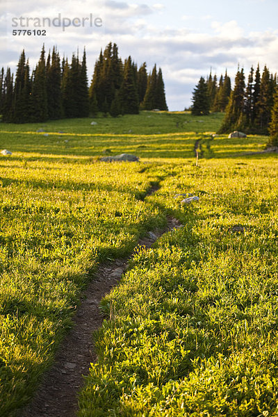 Trophy Mountain  Wells Grey Provincial Park  Clearwater  Britisch-Kolumbien  Kanada