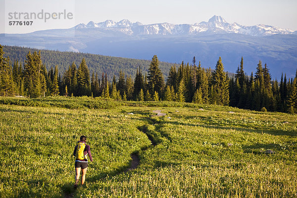 Eine junge asiatische Frau Trailrunning schöne Singletrails in den der Trophy Berge  Wells Grey Provincial Park  Clearwater  Britisch-Kolumbien  Kanada