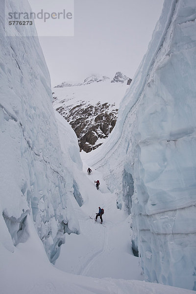 Mensch  Menschen  Menschengruppe  Menschengruppen  Gruppe  Gruppen  Tagesausflug  Ski  unbewohnte  entlegene Gegend  Rocky Mountains  British Columbia  Kanada  kanadisch