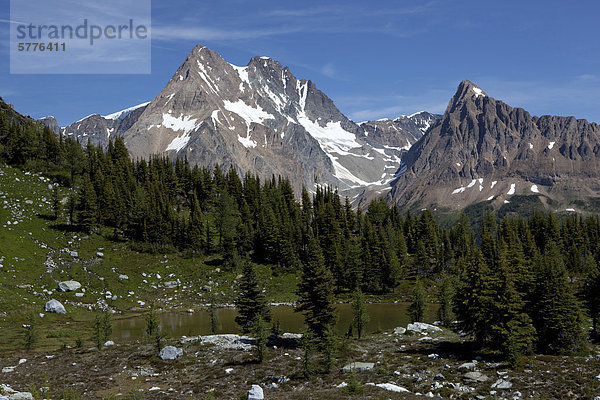 Leutnants und Tarn am Jumbo-Pass  Purcell Mountains  British Columbia  Kanada