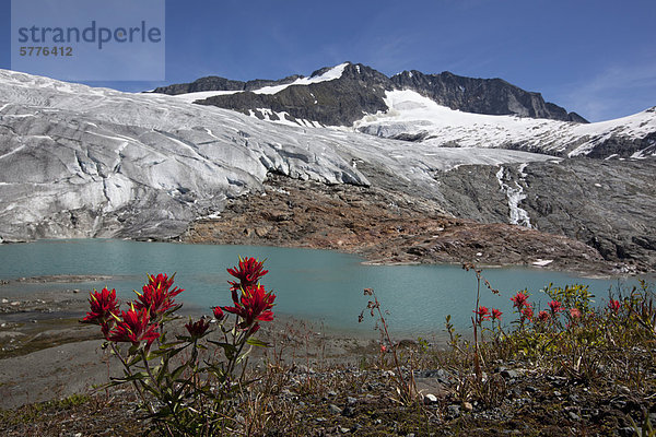 MacBeth-Eisfeld und Pinsel  Purcell Mountains  British Columbia  Kanada