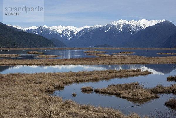 Pitt Lake und Pitt Polder  Pitt Meadows  niedrigere Festland von British Columbia  Kanada