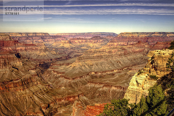 Grand Canyon South Rim  Arizona  USA