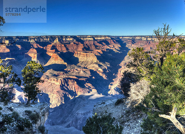 Grand Canyon South Rim  Arizona  USA