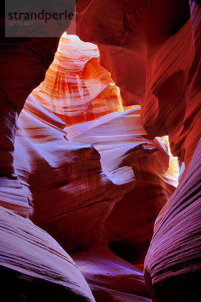 Secret Canyon  Page  Arizona  USA