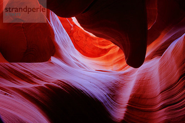 Secret Canyon  Page  Arizona  USA