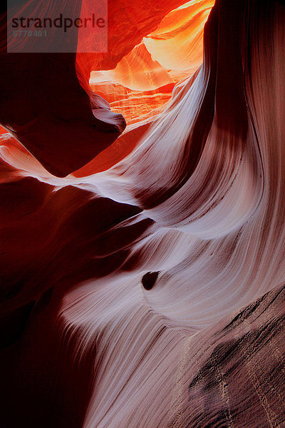 Secret Canyon  Page  Arizona  USA