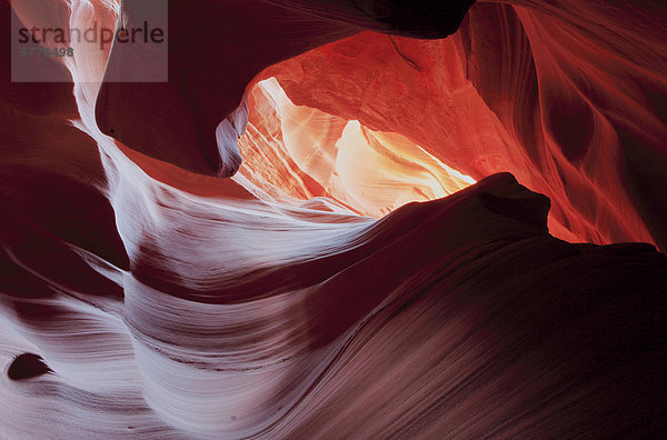 Secret Canyon  Page  Arizona  USA