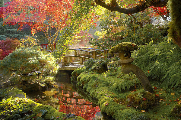 Japanische Stein  Laterne  Stream  Brücke und und fallen Farbe  der japanische Garten  Butchart Gardens  Brentwood Bay  Vancouver Island  British Columbia  Kanada