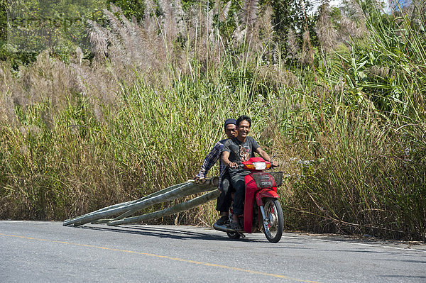 Zwei Männer auf dem Motorrad  Bambustransport  Nordthailand  Thailand  Asien