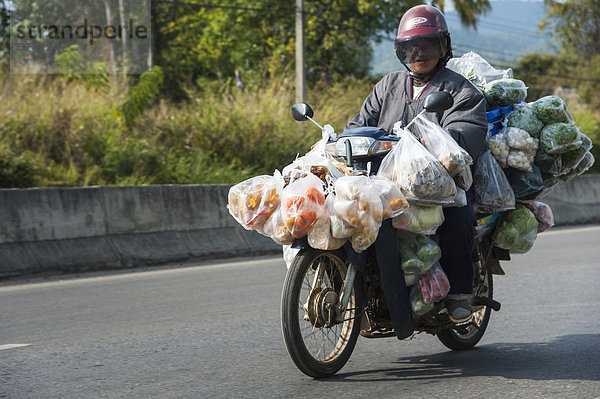Mann auf mit Tüten voll beladenem Motorrad  Nordthailand  Thailand  Asien