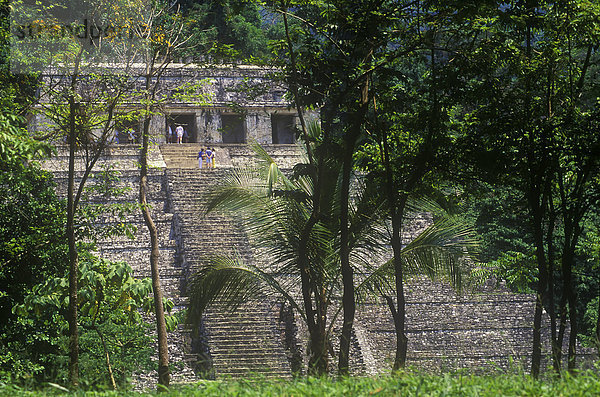 Palenque - einem Mahor Tempel an der UNESCO-Weltkulturerbe  Maya Stadt Uxmal  Yucatan Zustand von Mexiko.