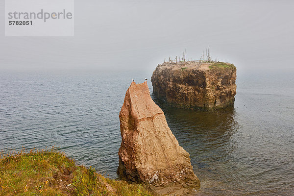 Pokeshaw Provincial Park  Chaleur Bay  New Brunswick  Kanada