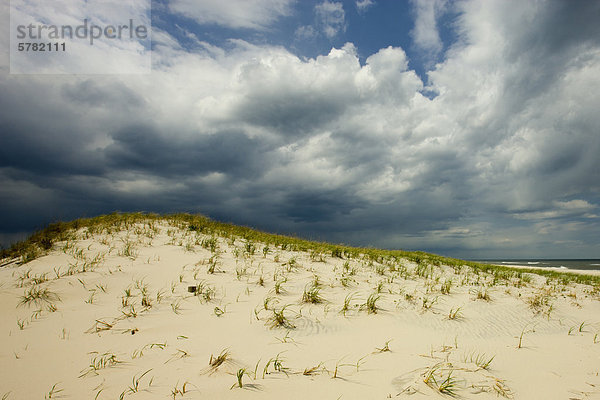 Sturm bewegt sich in über Sanddünen  Island Beach State Park  New Jersey  Vereinigte Staaten