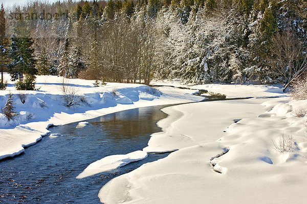 Folley River  Wentworth Tal im Winter  Nova Scotia  Kanada